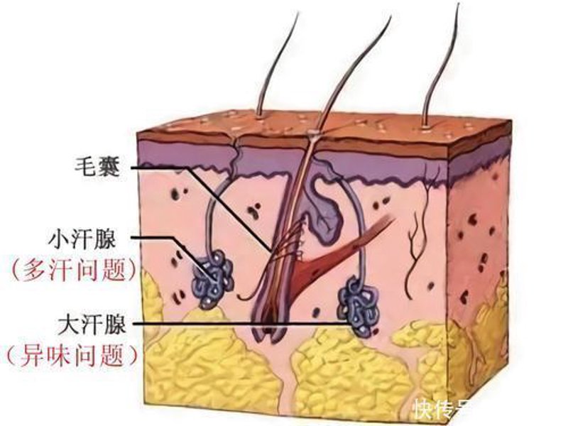 昆明昆大腋臭医院:为您带来清爽无惧的夏日体验